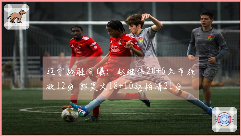 辽宁战胜同曦：赵继伟20+6末节狂砍12分 郭昊文18+10赵柏清21分